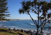 140707 Burleigh Heads